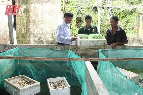 Dấu ấn phong trào 'Cựu chiến binh gương mẫu' ở thị xã Nghi Sơn