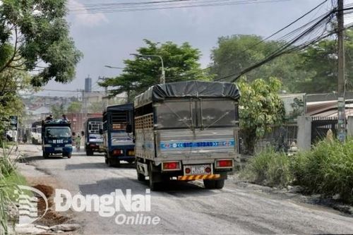 Sẽ dùng nguồn vốn sự nghiệp sửa chữa tuyến đường Nhà máy nước Thiện Tân