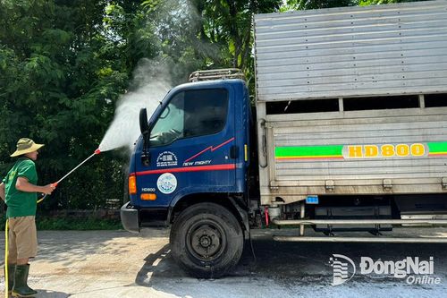 Báo động về dịch bệnh trên gia súc, gia cầm