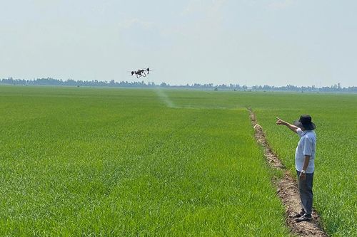 Hiệu quả công tác chuyển đổi số