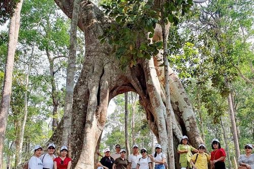 Gia Lai thu 465 tỷ đồng từ hoạt động du lịch trong 6 tháng đầu năm