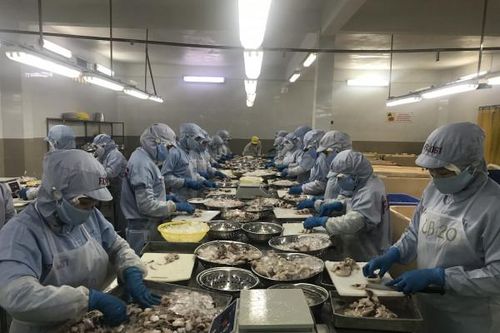 Tiềm năng xuất khẩu thủy sản đến Singapore