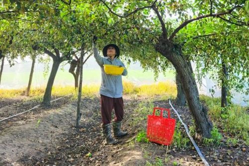 Trưởng ban công tác mặt trận giỏi việc nước, đảm việc nhà