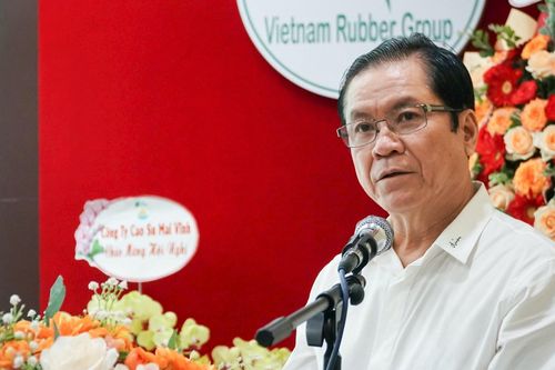 Cao su Việt Nam (GVR): Sẽ niêm yết sản phẩm cao su trên sàn giao dịch hàng hóa từ quý 4