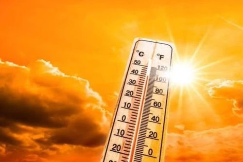 Thế giới đối mặt với tình trạng nắng nóng cực đoan