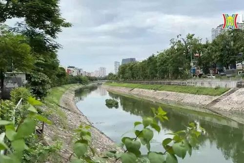 Nước sông Tô Lịch chuyển màu xanh lục