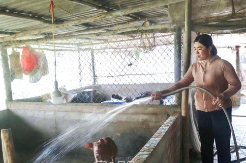 Chi hội trưởng tiêu biểu