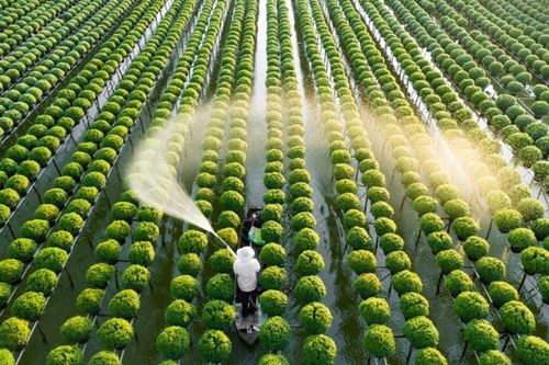 Đề xuất tiếp tục miễn thuế sử dụng đất nông nghiệp đến hết 2030