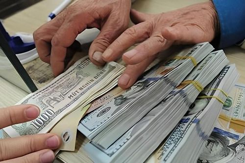 Giám đốc doanh nghiệp chiếm đoạt hàng chục tỷ của Việt kiều Canada