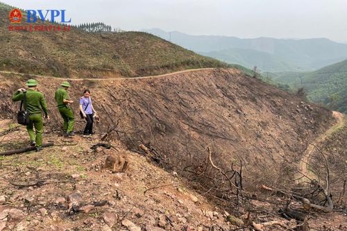 Vụ phá 10ha rừng tự nhiên ở Bắc Giang: Khởi tố 2 bị can