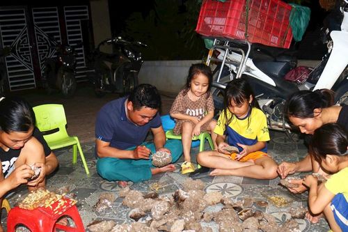 Nhộn nhịp thu mua tổ ong vang tại các huyện miền núi Nghệ An