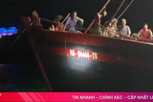 Bắt giữ 2 tàu giã cào khai thác hải sản trái phép