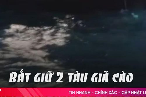 2 tàu cá bị bắt vì khai thác tận diệt
