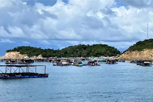 Kiên Giang đầu tư 430 tỷ đồng cho hạ tầng phục vụ phát triển nuôi trồng thủy sản