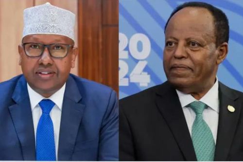 Ethiopia, Somalia tìm cách giảm bớt căng thẳng ngoại giao