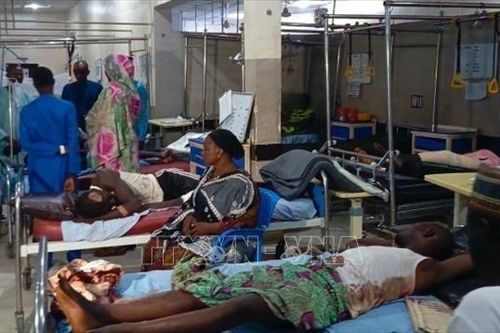 Loạt vụ đánh bom liều chết ở Nigeria: Số người thiệt mạng tiếp tục tăng