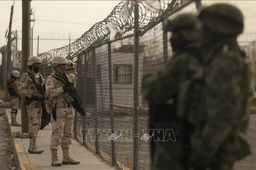 Mexico: Hàng chục người thiệt mạng do bạo lực băng nhóm