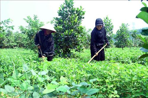 Cơ hội phát triển toàn diện vùng miền núi Quảng Bình - Bài cuối: Tập trung khơi thông nguồn vốn
