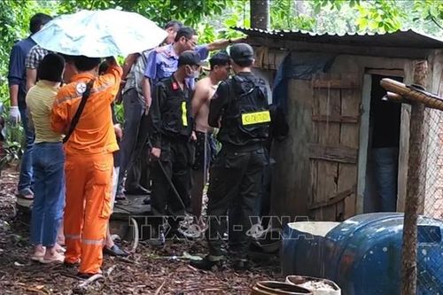 Triệt phá vụ án thu giữ hơn 7 kg ma túy
