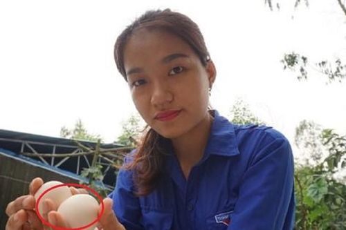 Chị nông dân 9X đút túi tiền tỷ nhờ nuôi con đặc sản 'đen sì đẻ khỏe'