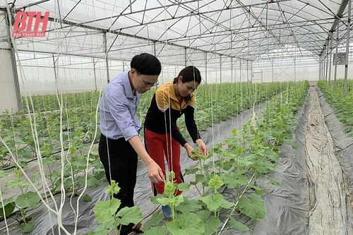 Hiệu quả các mô hình kinh tế nông nghiệp tại huyện Nga Sơn
