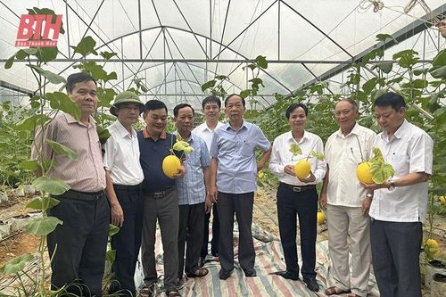 Ứng dụng khoa học - công nghệ và đổi mới sáng tạo trong sản xuất nông nghiệp ở huyện Yên Định