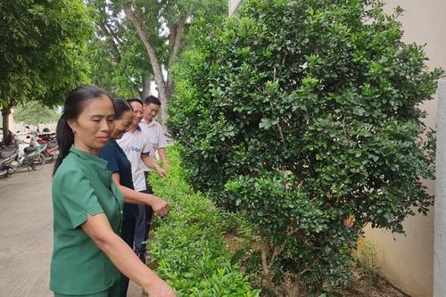Trưởng Ban công tác Mặt trận thôn gương mẫu, trách nhiệm