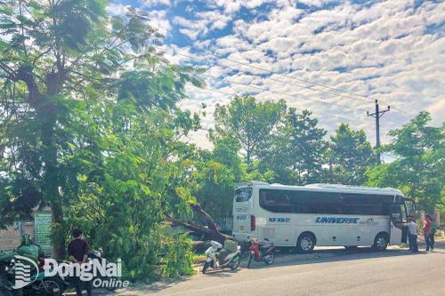 Xe khách 'trôi tự do' tông bật gốc cây phượng trước Trung tâm Dịch vụ việc làm Đồng Nai