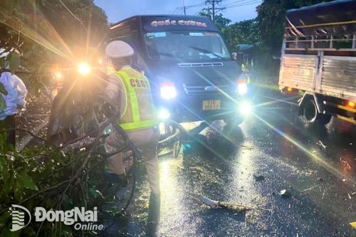 Mưa lớn khiến cành cây sao gãy đổ chắn ngang quốc lộ 20
