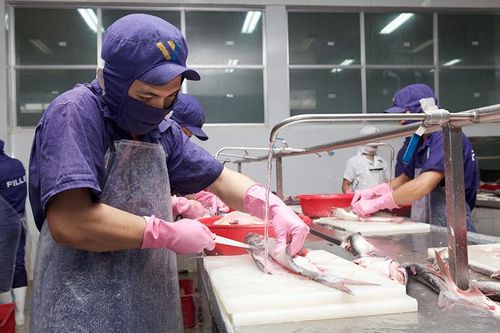 Nhiều điểm sáng trong 'bức tranh' kinh tế tỉnh nhà
