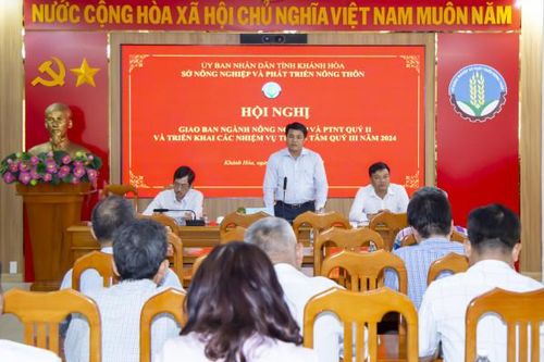 6 tháng đầu năm, nông nghiệp phát triển ổn định