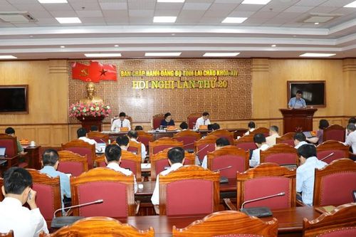 Hội nghị lần thứ 20, Ban Chấp hành Đảng bộ tỉnh khóa XIV