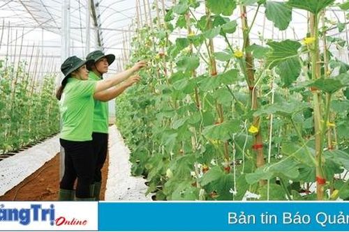 Hướng đến nền nông nghiệp hữu cơ bền vững