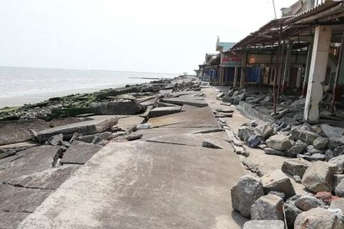 Nam Định: Tăng cường xử lý vi phạm pháp luật về đê điều, công trình thủy lợi trên địa bàn tỉnh