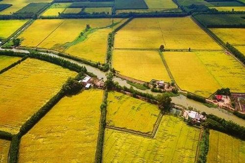 Đề nghị kéo dài thời hạn miễn thuế sử dụng đất nông nghiệp đến hết năm 2030