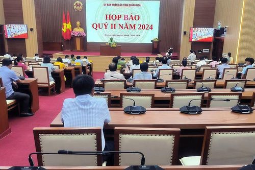 Quảng Ngãi: Triển khai đồng bộ các nhiệm vụ, giải pháp thúc đẩy tăng trưởng kinh tế 6 tháng cuối năm 2024