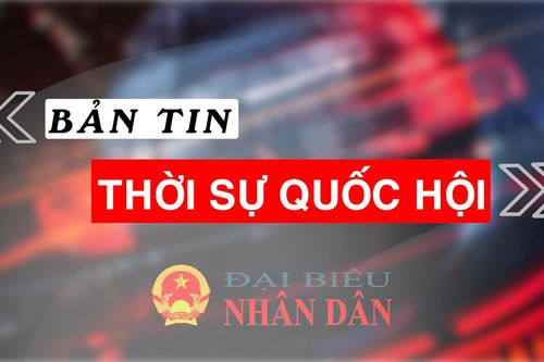 Bản tin Thời sự Quốc hội ngày 2.7.2024