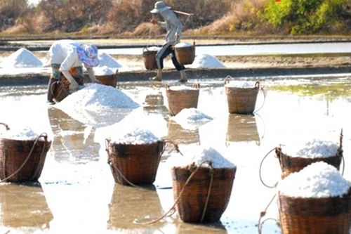TP. Hồ Chí Minh đẩy mạnh xây dựng nông thôn mới gắn với đô thị hóa