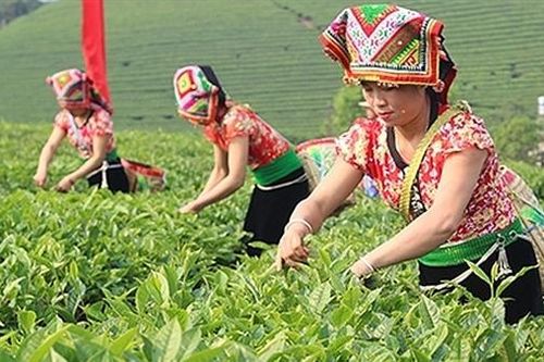 Không để các hộ gia đình người dân tộc thiểu số thiếu đất ở, đất sản xuất