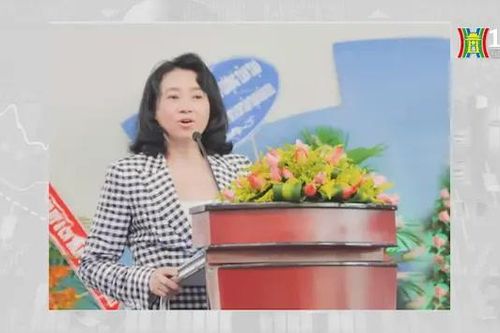 Chủ tịch Tân Tạo: 'Công ty bị thế lực xấu phá hoại'