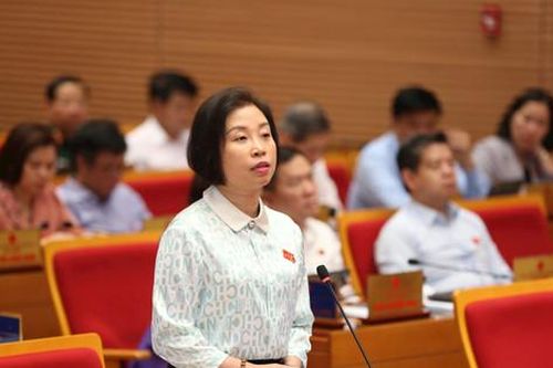 HĐND thành phố cho ý kiến về Đề án tổng thể đầu tư xây dựng hệ thống đường sắt đô thị Thủ đô
