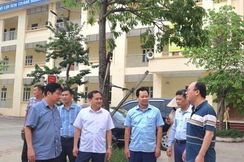 Sớm đưa Thường Tín đạt huyện nông thôn mới nâng cao
