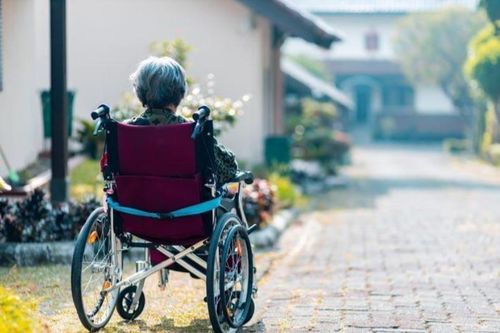 65 tuổi, giáo sư đại học nghỉ việc để chăm sóc mẹ già mắc bệnh Alzheimer: Dù có là ngôi sao trên giảng đường thì vẫn là đứa con bé bỏng của mẹ!