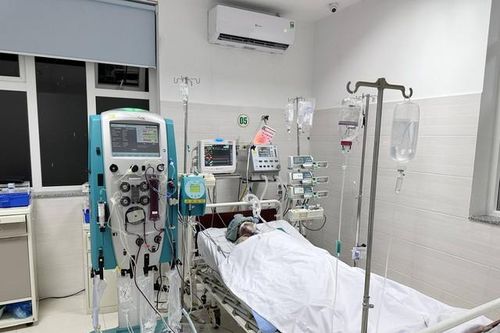 Người đàn ông 36 tuổi suy đa tạng nguy kịch sau khi bị mò đốt