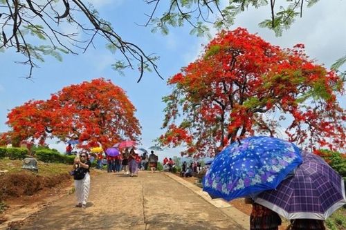 Điểm du lịch được tìm kiếm nhiều nhất Việt Nam