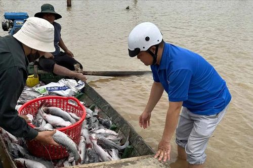 Đề nghị thủy điện hỗ trợ 2,9 tỷ đồng cho người dân có cá nuôi bị chết