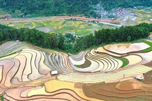 Yên Bái: Vẻ đẹp ruộng bậc thang Mù Cang Chải