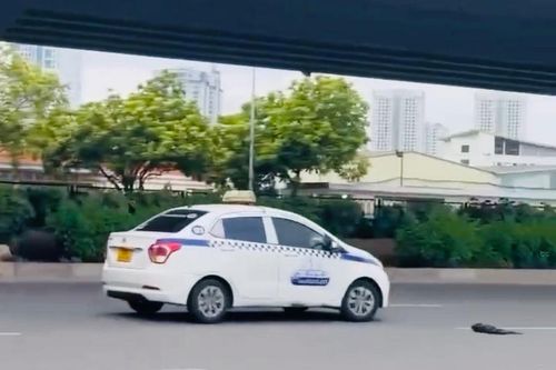Hà Nội: Lấy xe taxi của người khác phóng ngược chiều, đánh võng