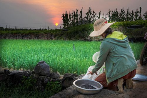 Lý Sơn, Phú Quý - tìm nước ngọt giữa biển mặn