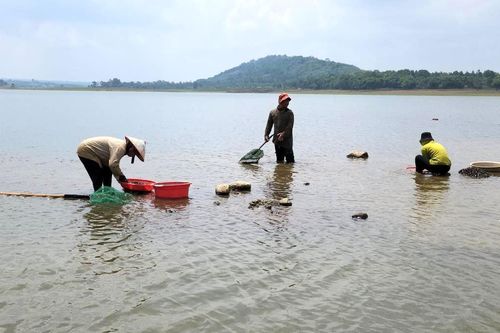 Mưu sinh ở hồ nước không bao giờ cạn